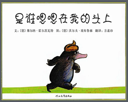为什么篮球教练的经验很重要_2